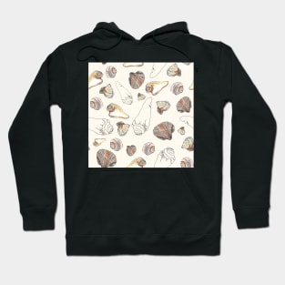 Shell drawings Hoodie